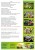 EcoPlantes ogrody_page-0002.jpg